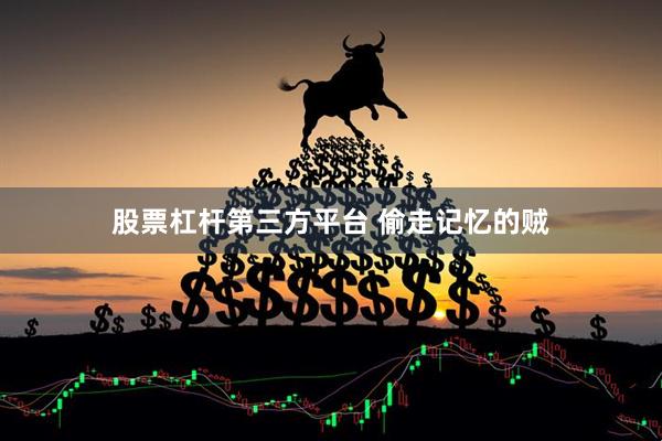 股票杠杆第三方平台 偷走记忆的贼