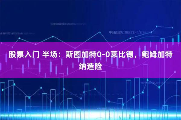股票入门 半场：斯图加特0-0莱比锡，鲍姆加特纳造险